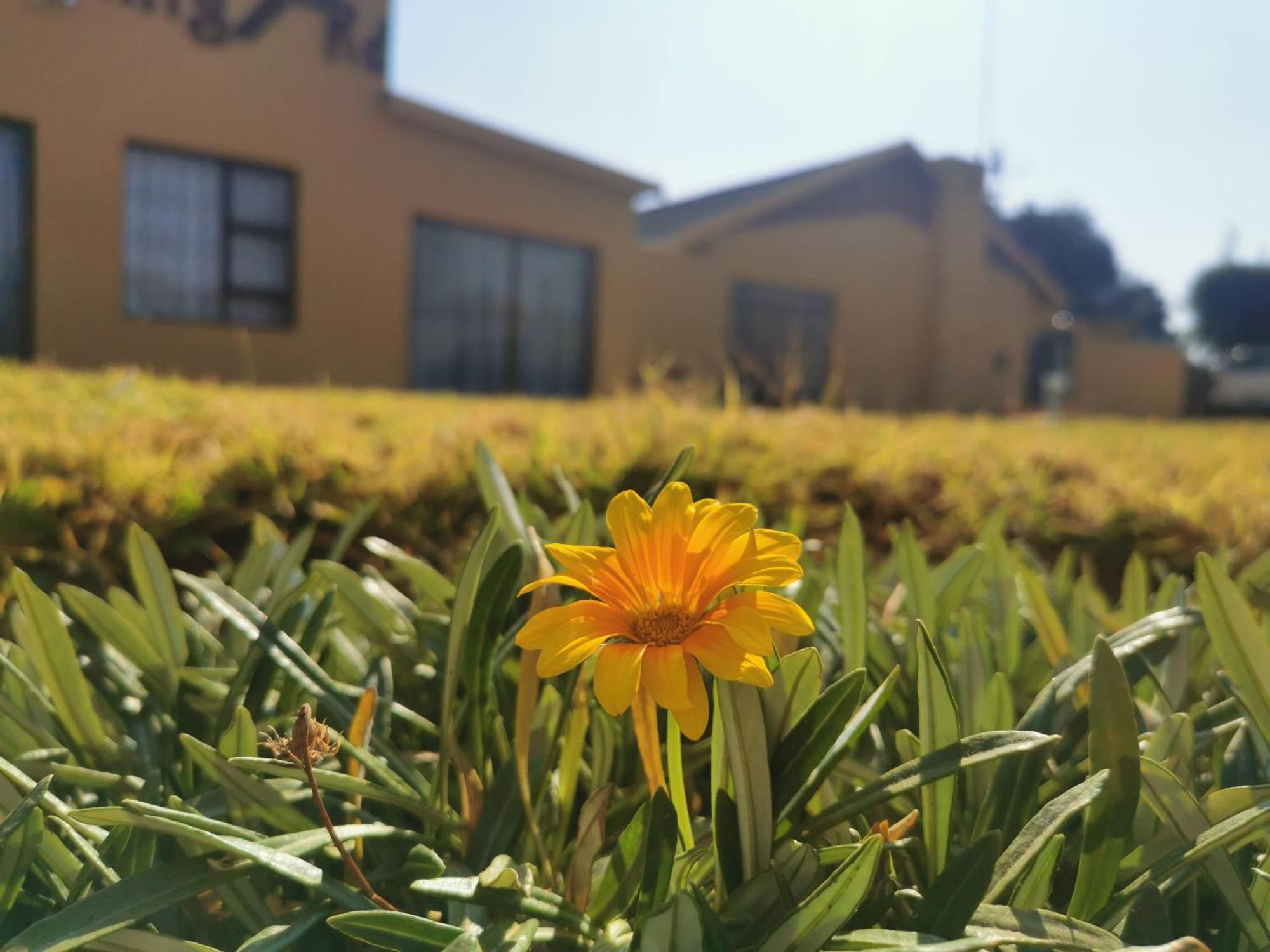 The Yellow Butterfly Vereeniging Exterior photo